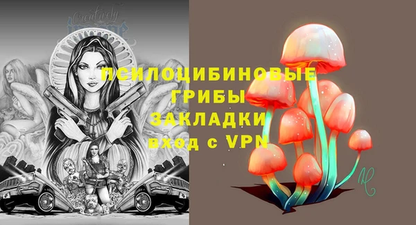 jwh Белокуриха