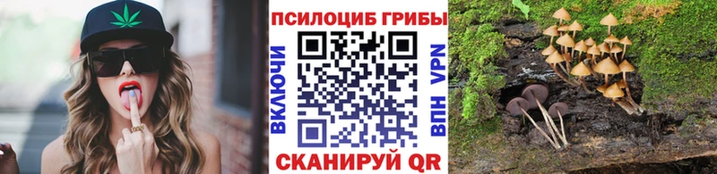 Купить Тайшет Псилоцибиновые грибы прущие грибы